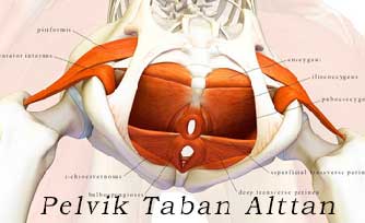 Pelvik Taban Alttan basurum