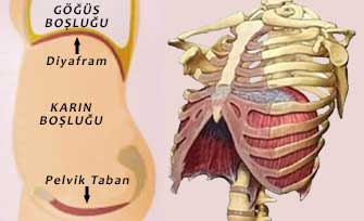 Diyafram Nefesi basurum