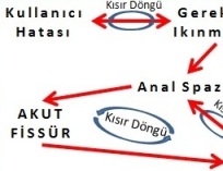 Anak Fissürde kronikleşme döngüsü Anal Fissürde kronikleşme basurum