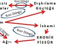 Anak Fissürde kronikleşme döngüsü Anal Fissürde kronikleşme basurum