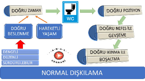 Normal Dışkılama için Doğrular... Normal Dışkılama basurum